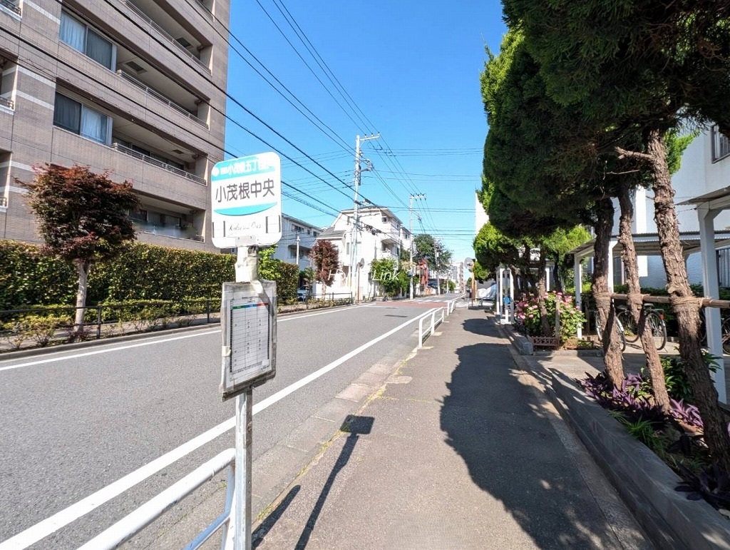 三田小茂根コーポ　北側 前面道路